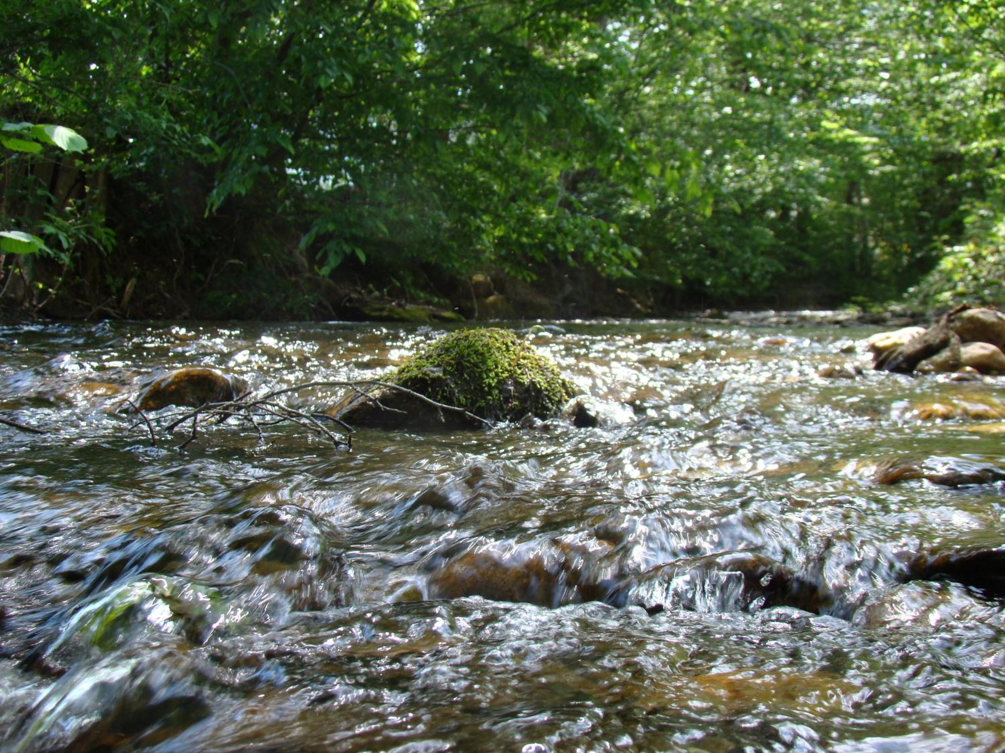 Gasthof Stegweber Schwanberg Esterno foto
